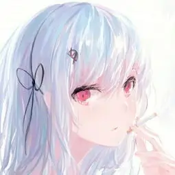 幕布收藏家头像